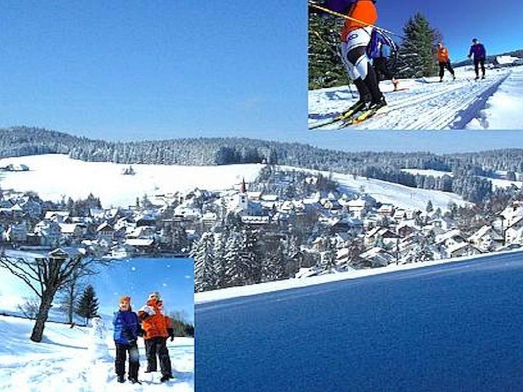 Appartmentvermietung Terrassenpark Schonach ショナッハ エクステリア 写真