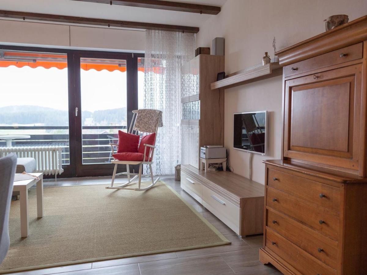 Appartmentvermietung Terrassenpark Schonach ショナッハ エクステリア 写真