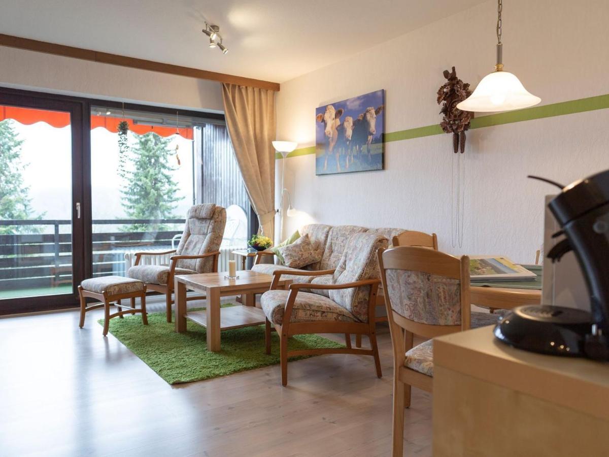 Appartmentvermietung Terrassenpark Schonach ショナッハ エクステリア 写真